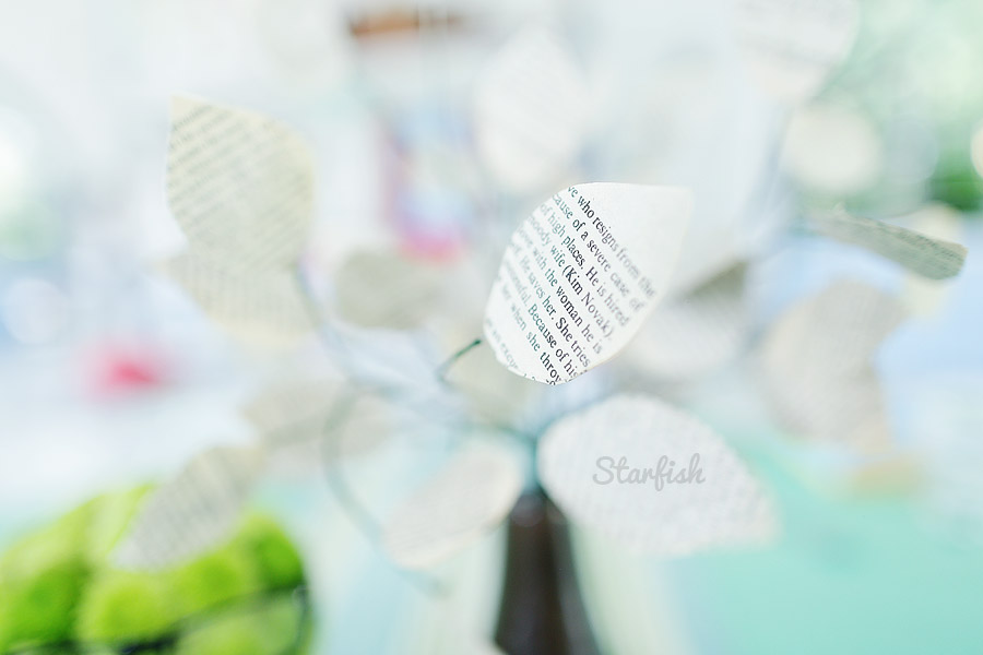 bookworm themed kiddie party photo by Starfish Media